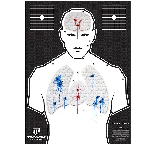 triumph systems silhouette reactive target image